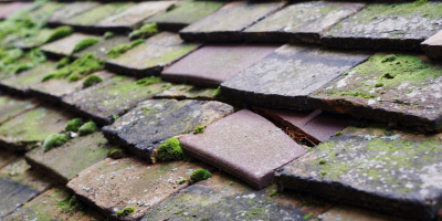 Frogmoor House roof repair costs